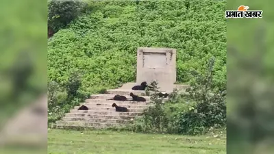 37 साल बाद फिर खुली कधवन डैम की फाइल, 41 गांवों पर डूब का साया; मुआवजे को लेकर बढ़ी बेचैनी