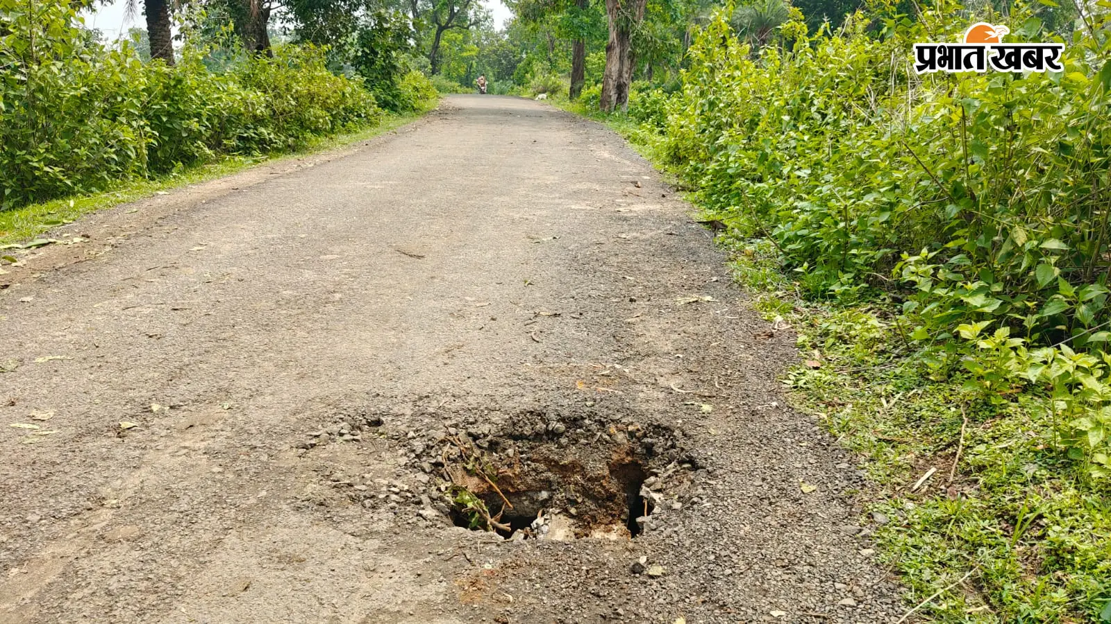 दो साल पहले बनी सड़क, अब पुल हुआ जर्जर; जान जोखिम में डालकर गुजर रहे ग्रामीण