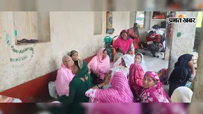 गावां में जंगली बिरनी के हमले में 85 वर्षीय बुजुर्ग की मौत, अब तक चार लोगों की जान गयी