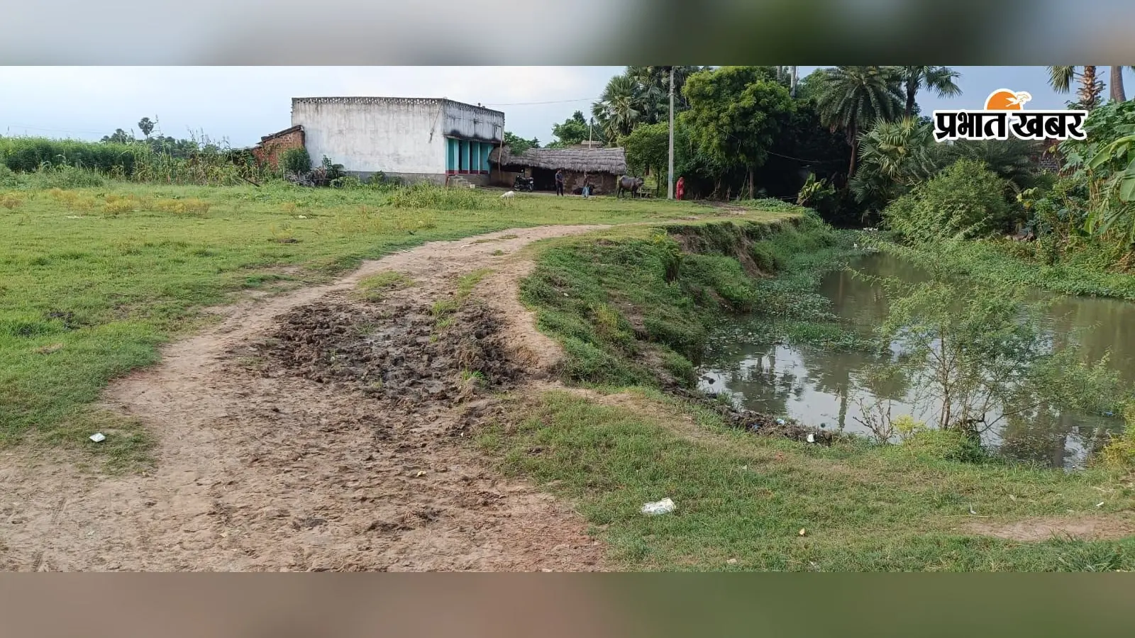 कीचड़ में फंसी पढ़ाई की राह, आईटीआई कॉलेज के छात्र-छात्राएं पक्की सड़क को तरसे