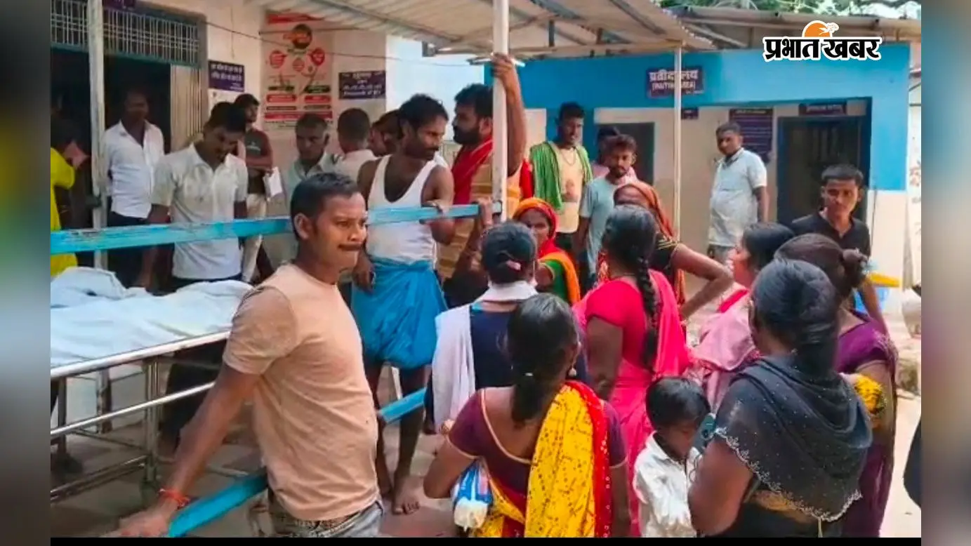 प्रतिमा विसर्जन के दौरान गहरे पानी में डूबे दो सगे भाई, तीज की खुशियां मातम में बदलीं