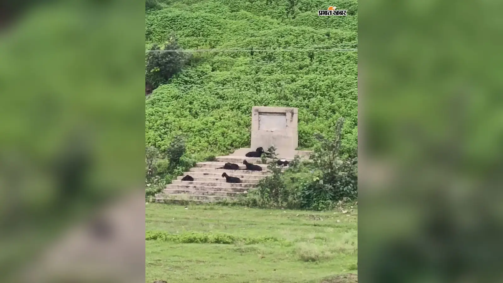 कधवन डैम की चर्चा तेज, सोन किनारे के गांवों में बढ़ी बेचैनी; ग्रामीण पूछ रहे- उजड़ेंगे तो बसेंगे कहां