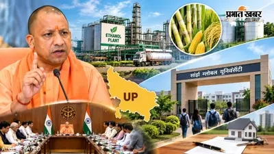UP कैबिनेट मीटिंग में 23 प्रस्तावों पर लगी मुहर, CM योगी ने 200 करोड़ का प्लांट और नई यूनिवर्सिटी को दी हरी झंडी, इस क्षेत्र में 90% तक छूट