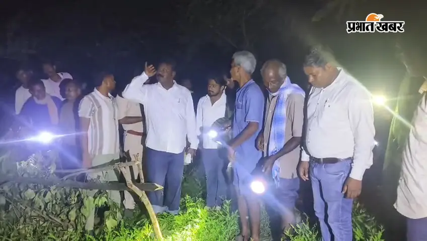 घर लौट रही 62 साल की महिला के सामने आया हाथी, कुचलकर ले ली जान