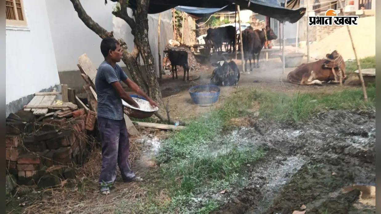 हाजीपुर में बाढ़ का असर घटने लगा, 79 नावों से राहत-बचाव जारी; कटाव पर प्रशासन की नजर