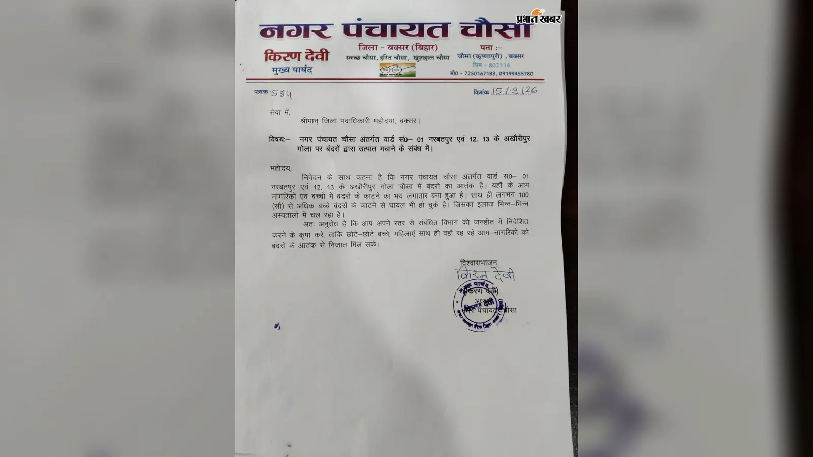 बक्सर के चौसा में बंदरों का आतंक, स्कूल में घुसे झुंड ने 4 बच्चों को काटा, दर्जनों लोग घायल, DM से लगाई गुहार