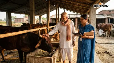 देसी गाय पालिए, सरकार देगी आधा खर्च! गोरखपुर के 20 और किसान होंगे नंदिनी योजना में शामिल, जानें कौन ले सकता है लाभ
