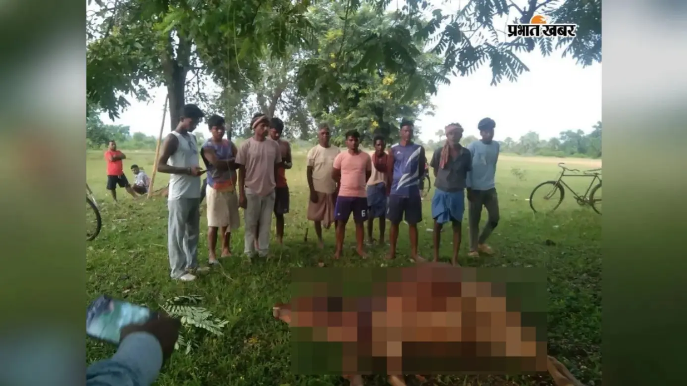 वज्रपात ने छीना किसानों का सहारा, दो गांवों में तीन बैलों की मौत