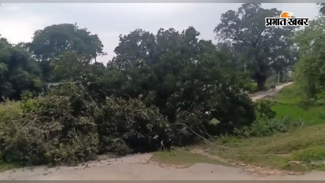 गया जी के फतेहपुर में तेज हवा का कहर: ट्रांसफॉर्मर पर गिरा विशाल पेड़, खंभा टूटा और बत्ती गुल, सोहजना-ढुब्बा मार्ग पूरी तरह ठप