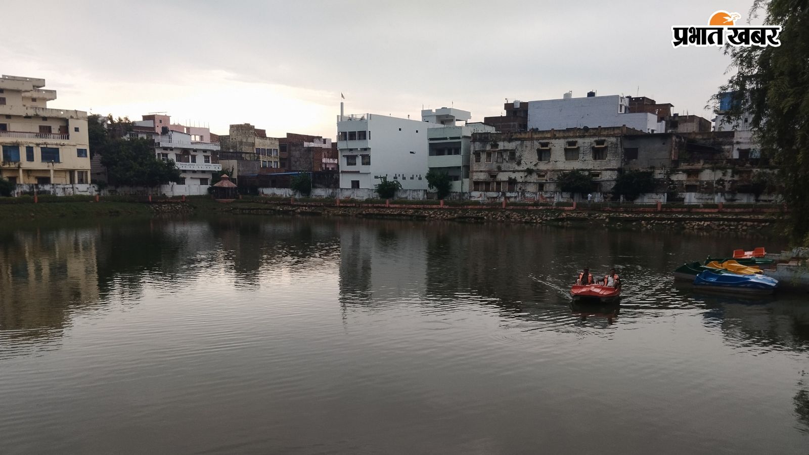 पार्क में मौजूद पोखर की तस्वीर