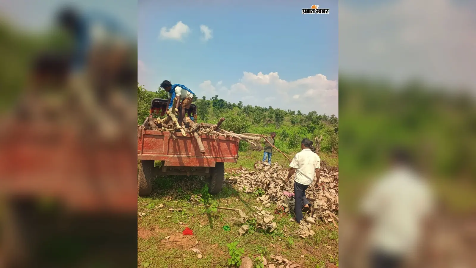 भवनाथपुर में वन भूमि अतिक्रमण के खिलाफ कार्रवाई, वन अधिनियम के तहत केस दर्ज