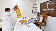 WATCH VIDEO: कुत्तों को बोरे में भरकर नगर पंचायत अधिकारी के ऑफिस पहुंचे लोग, टेबल पर दिए उड़ेल