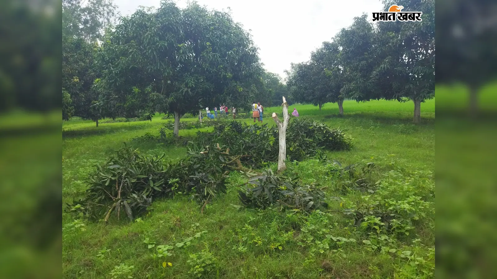 पर्यटन स्थल बनने का इंतजार करती रह गई ऐतिहासिक हरदिया कोठी, अब जुआरियों का बना सुरक्षित ठिकाना