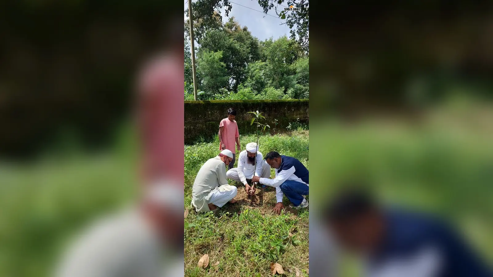 अंजुमन फलाहुल मुस्लेमीन ने चलाया पौधरोपण अभियान, लोगों से पौधों की नियमित देखभाल की अपील