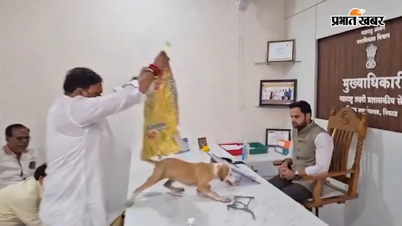 VIDEO: नाशिक में अनोखा प्रदर्शन, नगर पंचायत अधिकारी की टेबल पर छोड़े आवारा कुत्ते