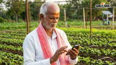 किसान अभी कर लें ये 5 काम, मक्का से शकरकंद और पपीते तक फसल के लिए कृषि विशेषज्ञों की जरूरी सलाह