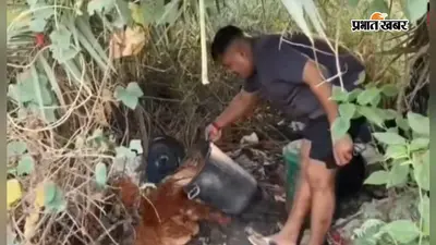 सीवान: महाराजगंज में अवैध शराब की मिनी फैक्ट्री पर पुलिस का छापा, 2500 लीटर अर्धनिर्मित शराब बरामद