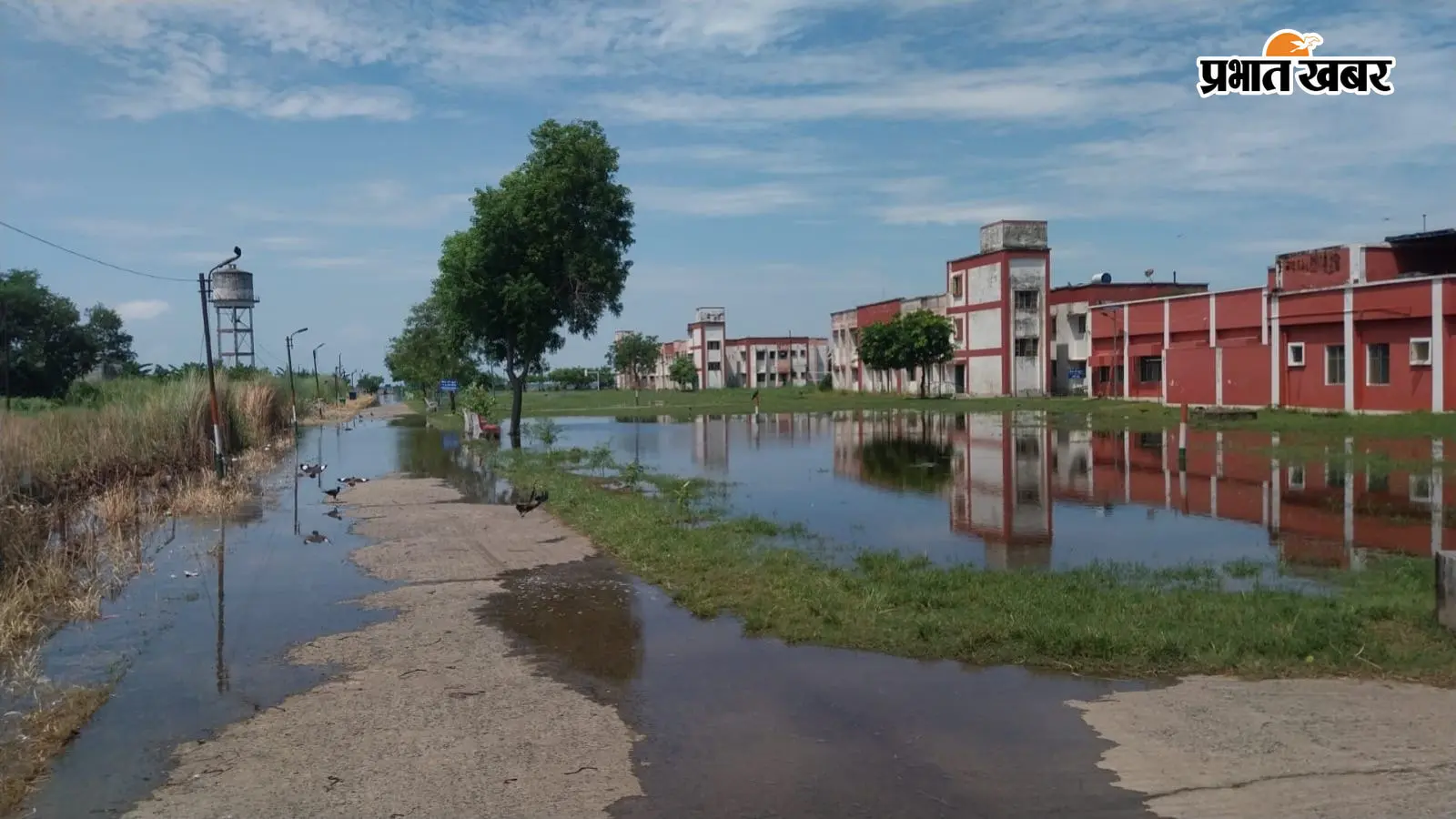 बाढ़ के कारण बड़हिया जवाहर नवोदय विद्यालय 26 सितंबर तक बंद, परिसर में पानी फैलने से बढ़ाई गयी छुट्टी