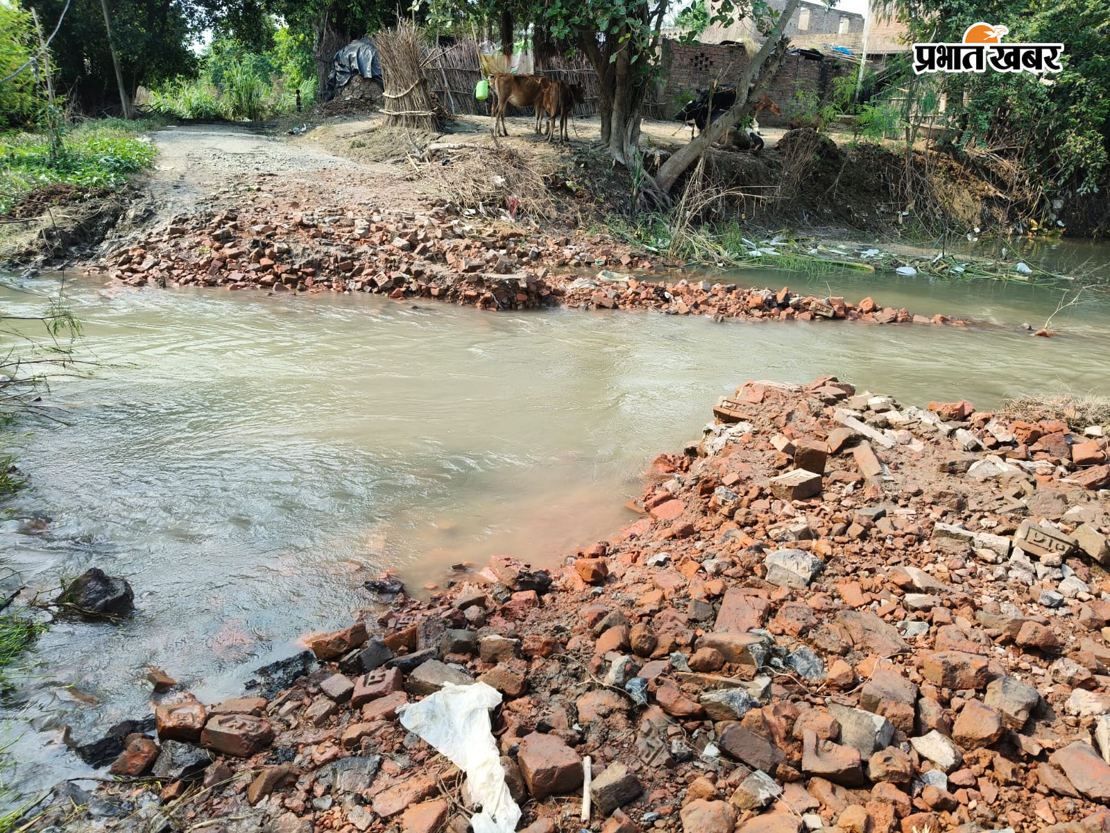 बाढ़ के पानी में गोखलेनगर विष्णुपुर जाने वाले मार्ग पर बहता बाढ़ का पानी के बीच पार करते ग्रामीण | Prabhat Khabar Network