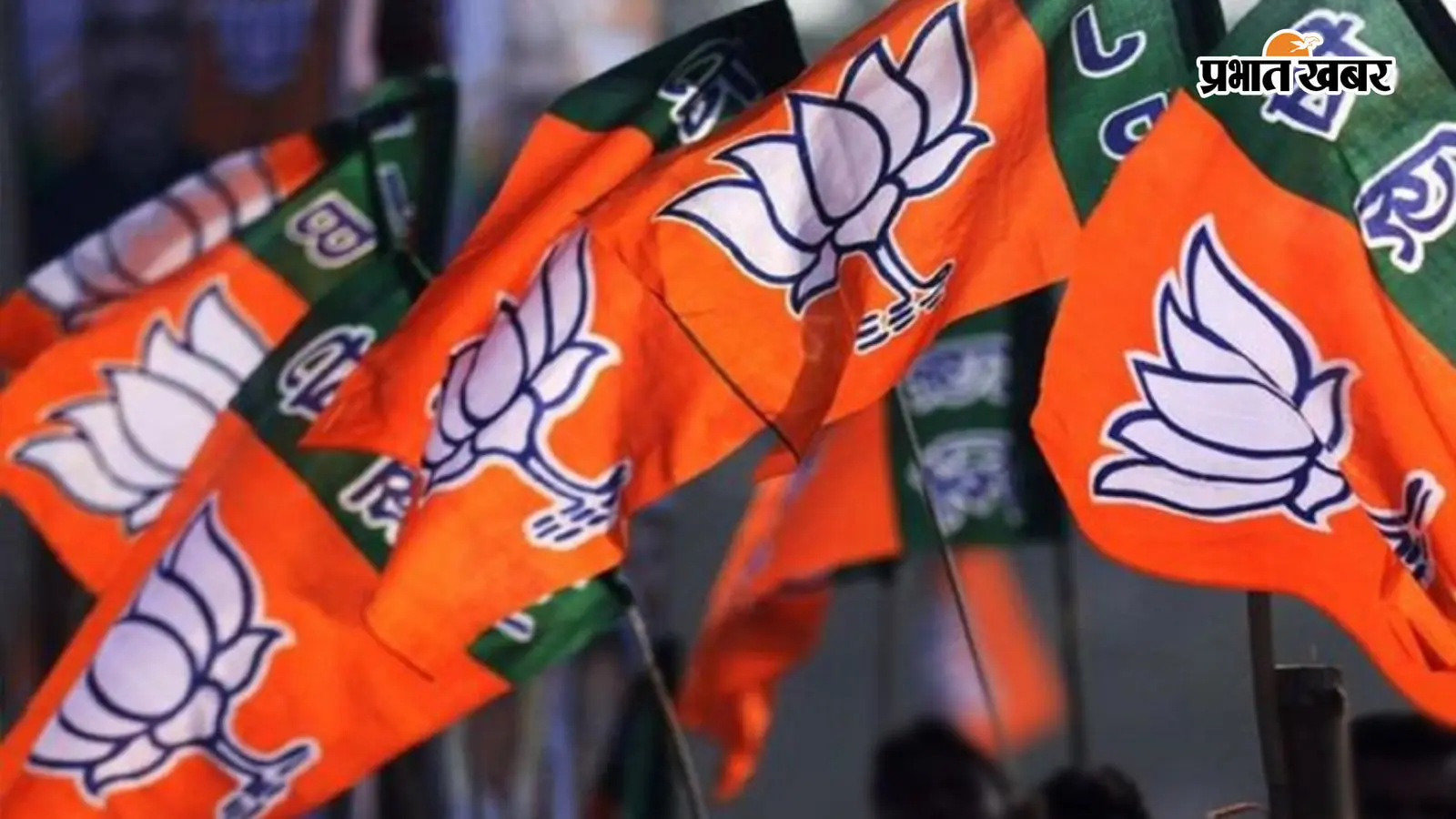 शशांक राज बने भाजपा युवा मोर्चा के प्रदेश अध्यक्ष, आदित्य साहू की सहमति से नियुक्ति