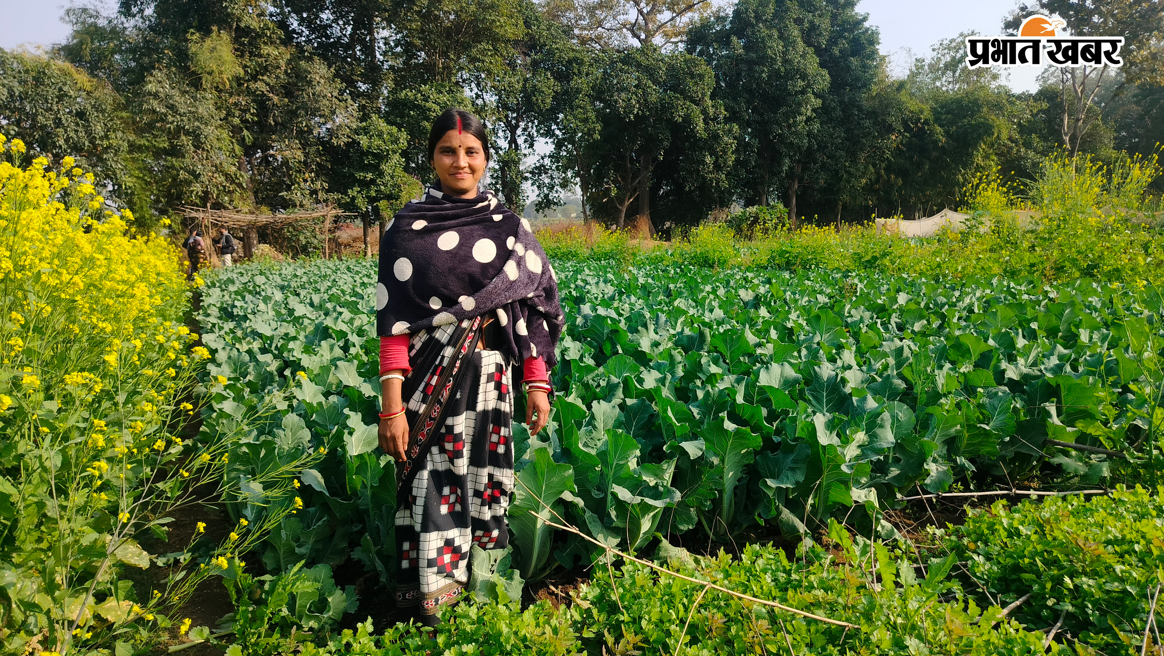 फोटो खेत में लहलहाती फसल फोटो फसल का निरीक्षण करते कृषक और संस्था के अधिकारी | Prabhat Khabar Network