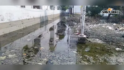भागलपुर में बाढ़ का पानी उतरने के बाद बढ़ी मच्छरों की परेशानी, डेंगू-मलेरिया का डर