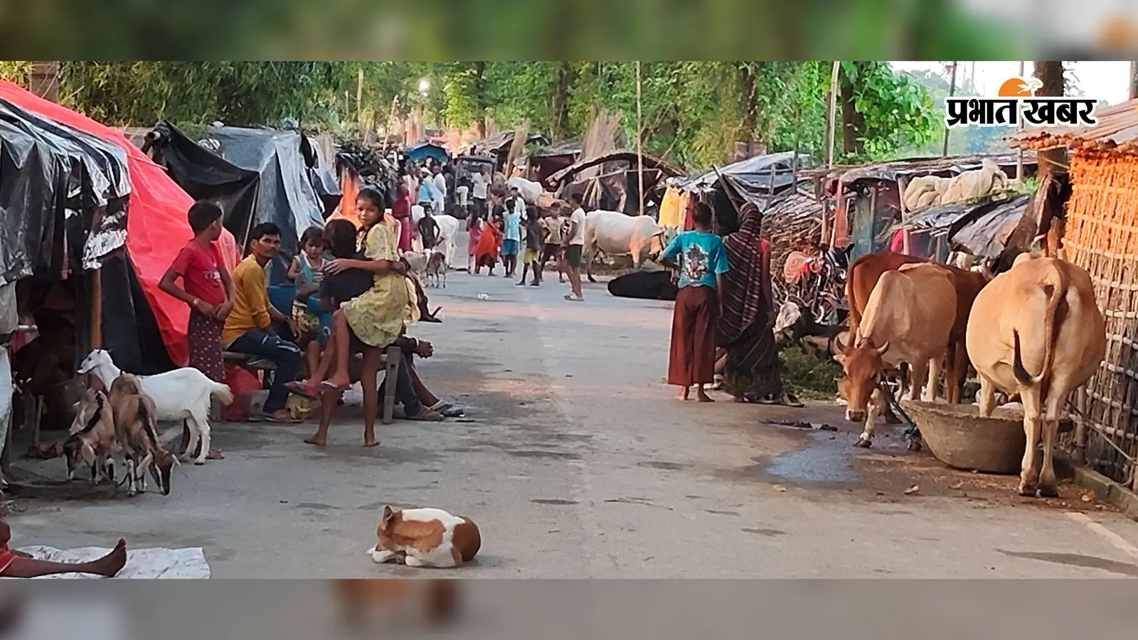 बाढ़ का पानी गांव से निकलते हीं 50 रसोई बंद, 20 सामुदायिक रसोई हो रहा संचालित