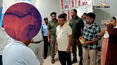 सासाराम के तेंदुनी चौक पर सियार के हमले से दहशत, 14 लोगों को काटकर किया जख्मी