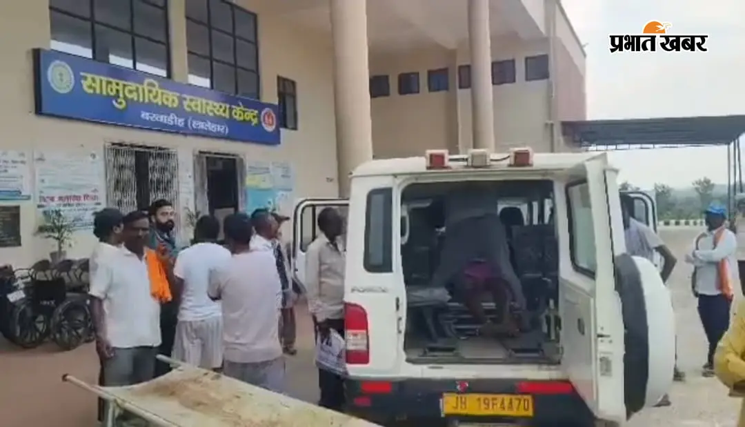 लातेहार में नदी पार कर रहे ग्रामीणों पर मधुमक्खियों का हमला, कई घायल; गंभीर सुदेश्वर साव की इलाज के दौरान मौत