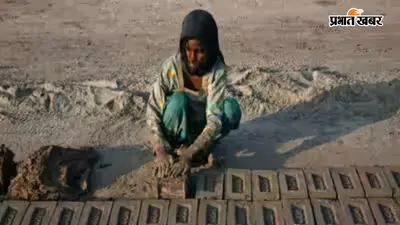 हमें घर जाना है...दर्द सुनाते हुए PAK की अदालत में रो पड़ीं हिंदू बहनें, किडनैपिंग के बाद जबरन धर्म परिवर्तन और शादी का आरोप