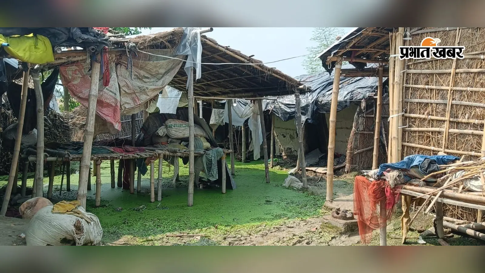 बेलदौर के महादलित टोला में एक सप्ताह से घरों में घुसा बाढ़ का पानी, राशन-जलावन डूबे, झोपड़ियां गिरने का खतरा