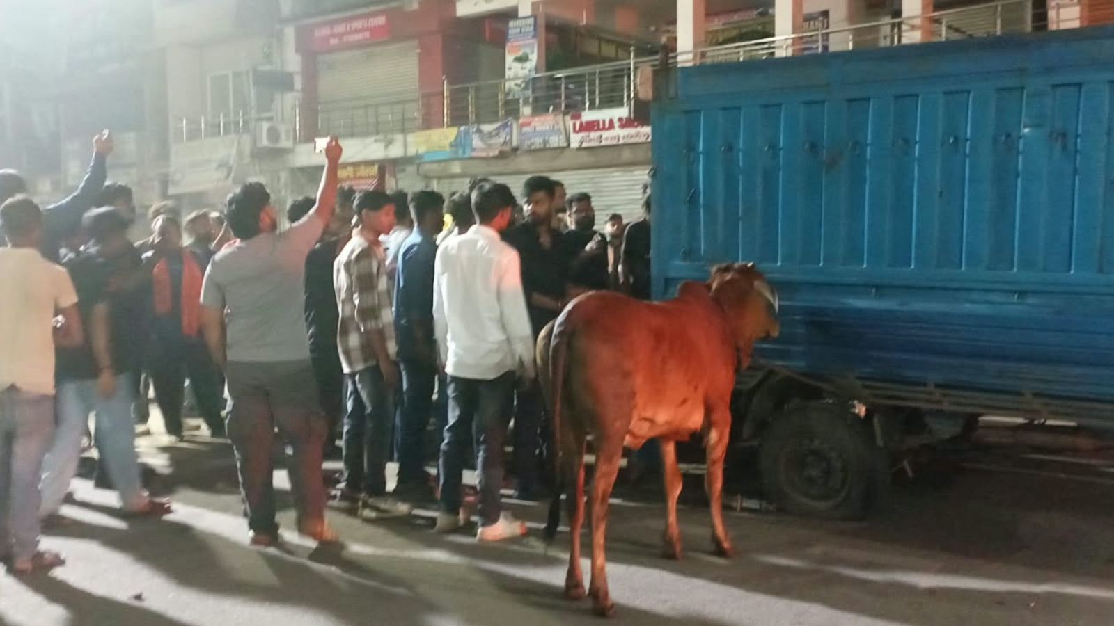 वाहन से मवेशी को बाहर निकालते लोग