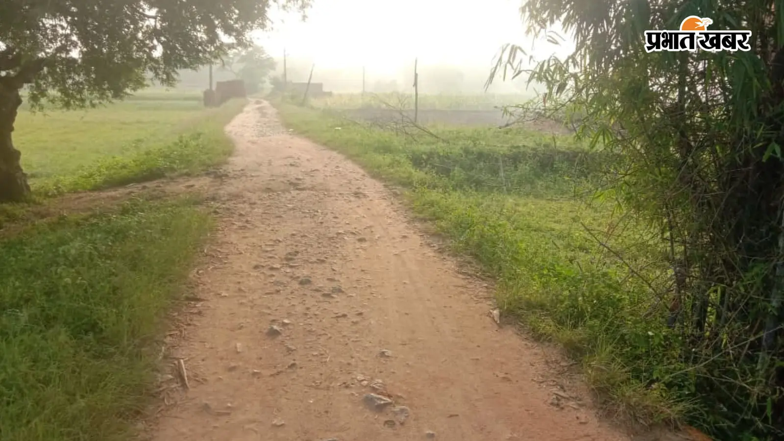 आनंदपुर-बानपुर सड़क पर उखड़ी गिट्टी और निकले नुकीले पत्थर, बाइक सवार हो रहे घायल