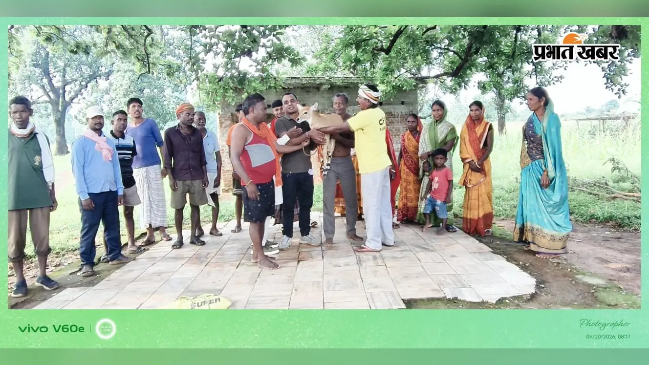 मवेशियों के साथ जंगल से घर पहुंच गया नीलगाय का बच्चा, लातेहार में ग्रामीण ने वन विभाग को सौंपा