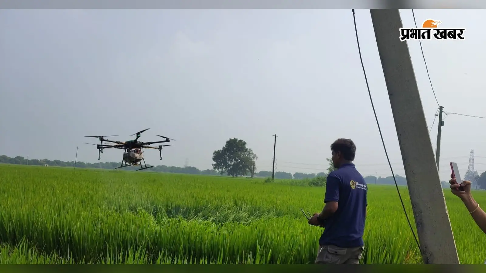 नालंदा में ड्रोन से धान की फसल पर कीटनाशक का छिड़काव, किसानों को मिलेगा आधुनिक तकनीक का लाभ