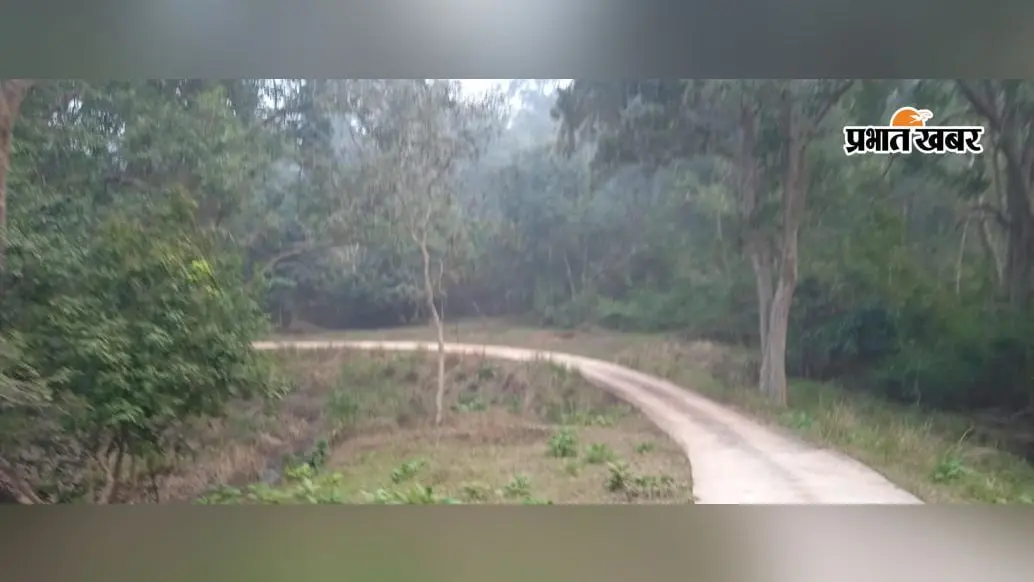 1 अक्टूबर से खुलेगा बेतला नेशनल पार्क, 3 महीने बाद लौटेगी जंगल सफारी की रौनक; एडवांस बुकिंग शुरू