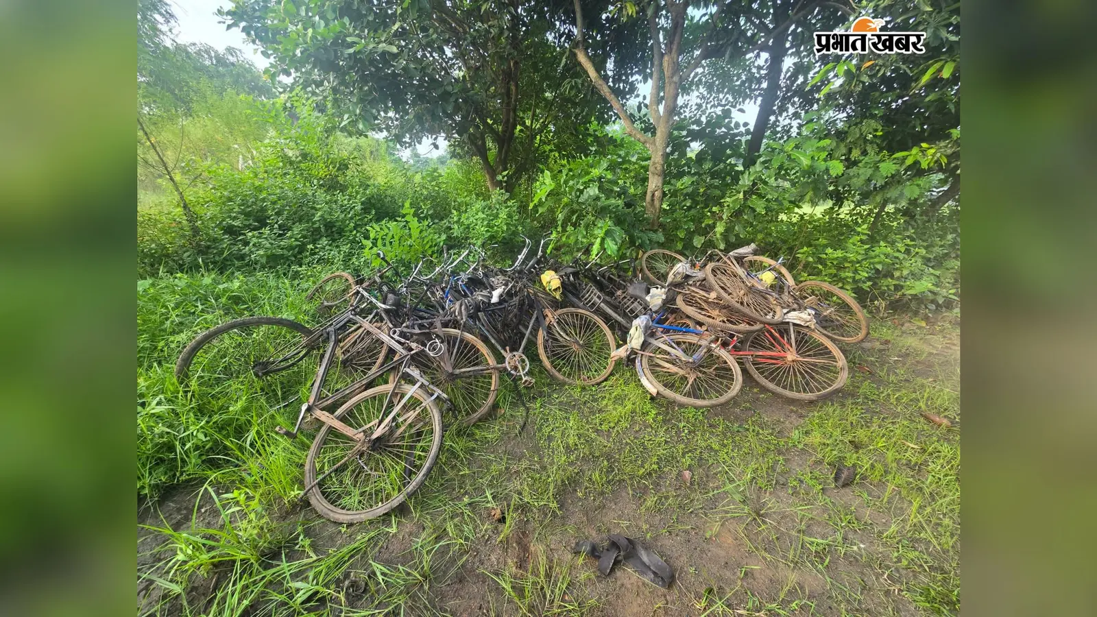 पुलिस पहुंची तो कोयला छोड़ भागे कारोबारी, पाकुड़ में 23 साइकिलों पर लदा 30 क्विंटल कोयला जब्त