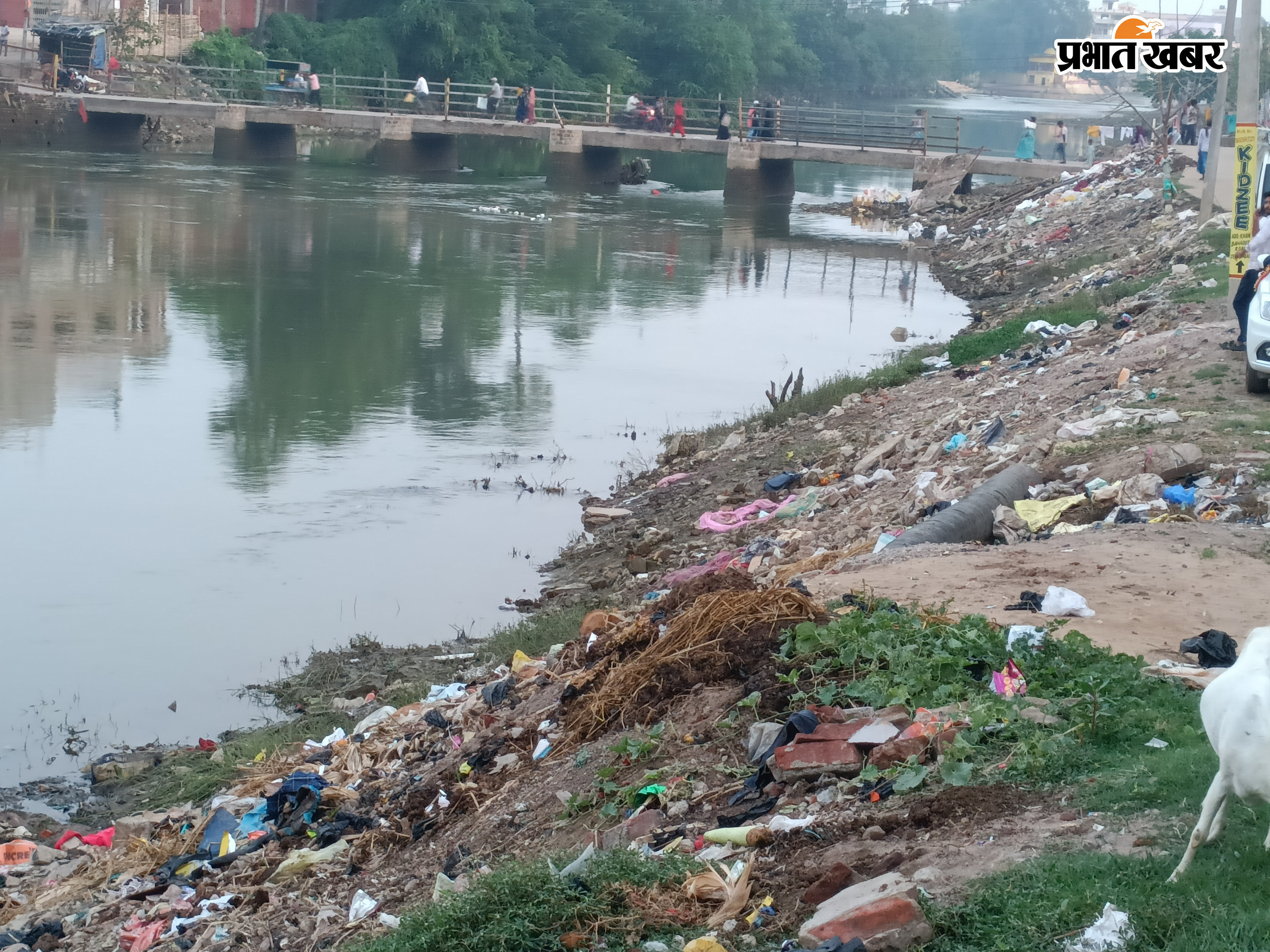 शहर के पंचमहला मोहल्ले के निकट दरधा नदी के किनारे लगा कूड़े का अंबार  जाफरगंज पुल के पास लगा कूड़े का ढेर | Prabhat Khabar Network
