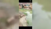 बांका: फुल्लीडुमर के घियाही में जमीन विवाद से सड़क पर जलजमाव, गंदे पानी और कीचड़ से गुजरने को मजबूर ग्रामीण
