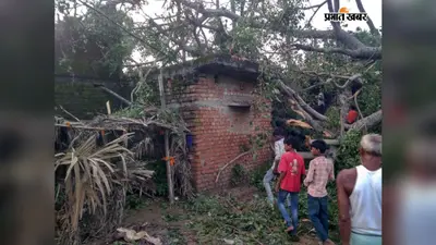 गया के बांकेबाजार में घर पर गिरा विशाल पीपल का पेड़, महिला गंभीर रूप से घायल