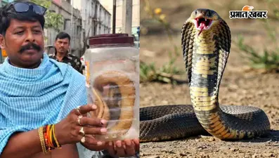 हिम्मत को सलाम: मासूम को बचाने में नाग ने डंसा, सांप को डिब्बे में किया बंद और लेकर खुद पहुंचा अस्पताल