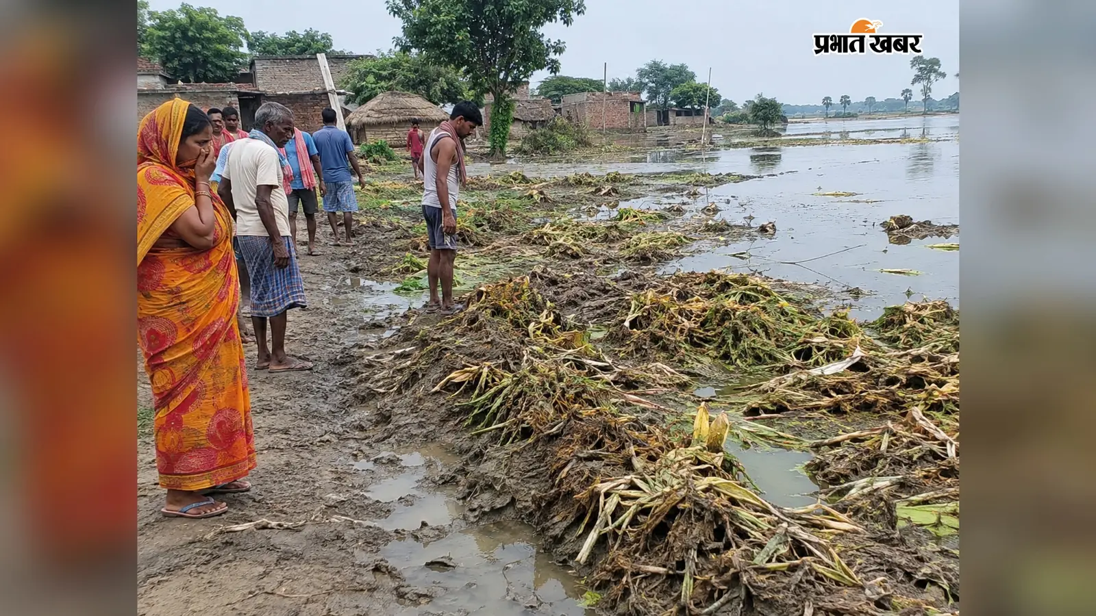 बाढ़ का पानी घटा तो बढ़ी मुश्किलें, सड़ांध और मच्छरों के प्रकोप से परेशान ग्रामीण