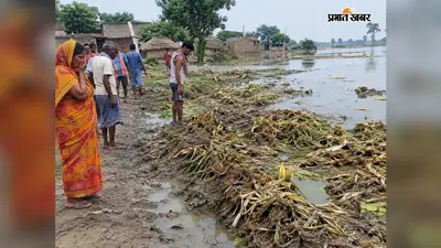 बाढ़ का पानी घटा तो बढ़ी मुश्किलें, सड़ांध और मच्छरों के प्रकोप से परेशान ग्रामीण