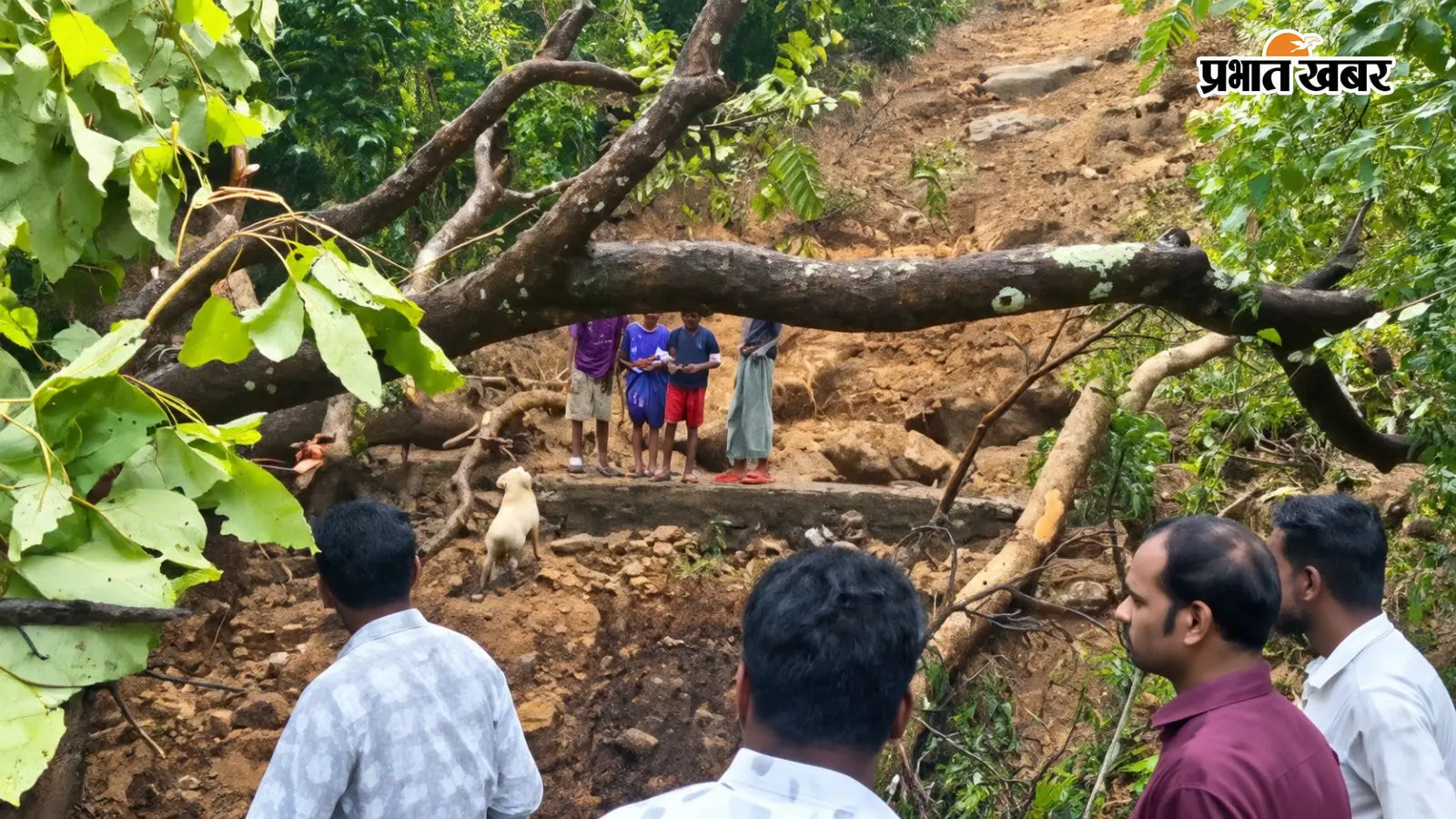 केरल में बारिश का कहर : बाढ़ और भूस्खलन से अब तक 5 मौतें, IMD ने ऑरेंज अलर्ट किया जारी