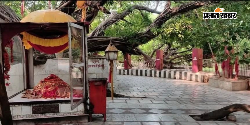 निर्माण एजेंसी द्वारा करवाया जा रहा पार्किंग निर्माण कार्य. अद्वितीय पाकड़ के वृक्ष के नीचे विराजमान मां सीता की पीड़ी. | Prabhat Khabar Network