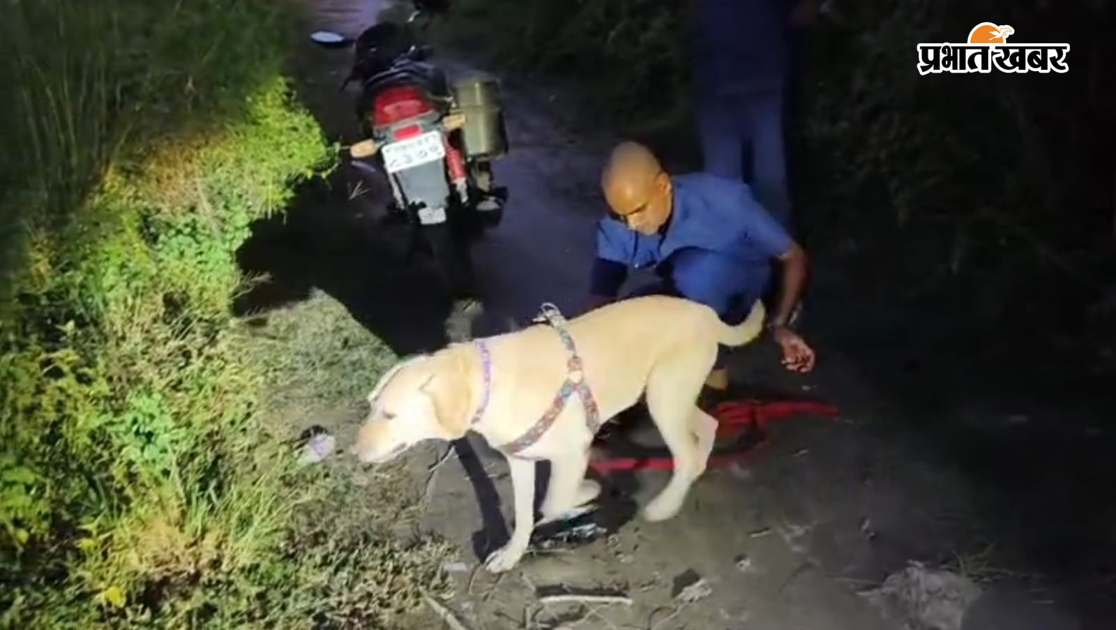 तीसरे दिन घटना की जांच करने पहुंचे पदाधिकारी घटना की जांच करती डॉग स्क्वॉयड की टीम | Prabhat Khabar Network