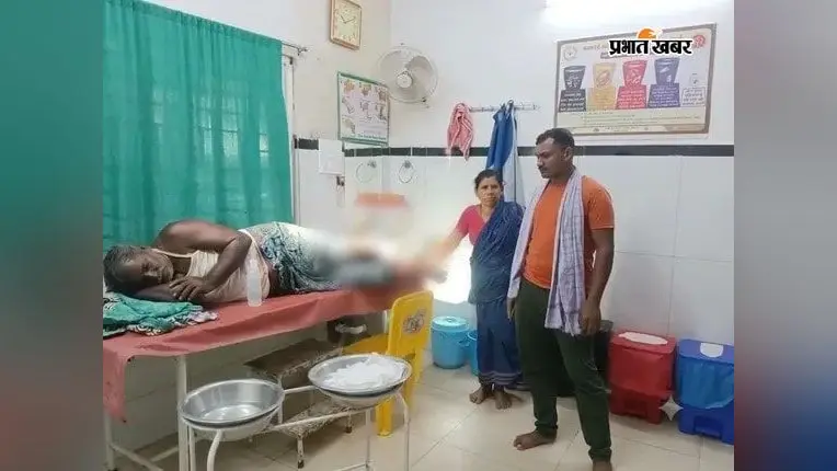 तीन लोगों पर भालू का हमला, एंबुलेंस नहीं मिली तो बाइक से घायलों को पहुंचाया अस्पताल
