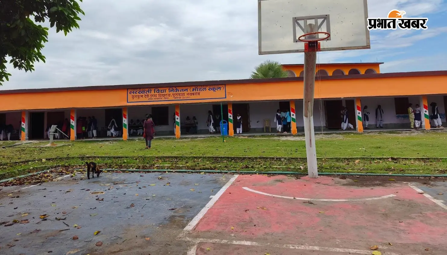 फॉर्म-रजिस्ट्रेशन की कथित अवैध वसूली पर दो शिक्षकों में मारपीट, वीडियो वायरल