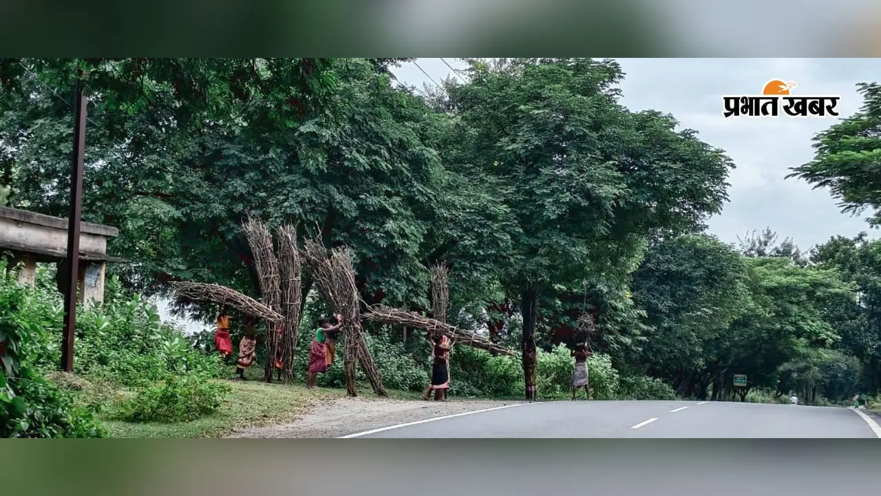 वन विभाग की कोशिशों के बावजूद नहीं थम रही कोडरमा के जंगलों में अवैध कटाई, तेजी से सिकुड़ रहा वन क्षेत्र