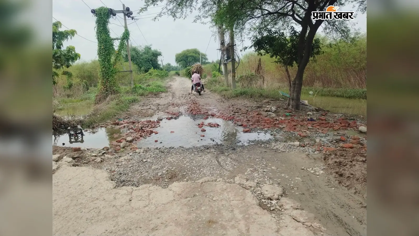 बाढ़ का पानी उतरा तो बेगूसराय के इस प्रखंड में बदली सड़क की सूरत, बढ़ी लोगों की मुश्किलें